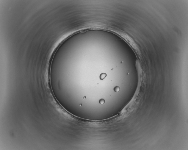 X0000112760904200908271617
