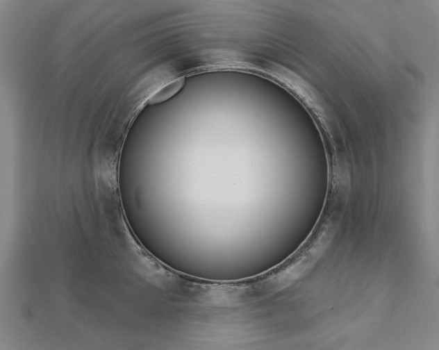 X0000112760905200908271617