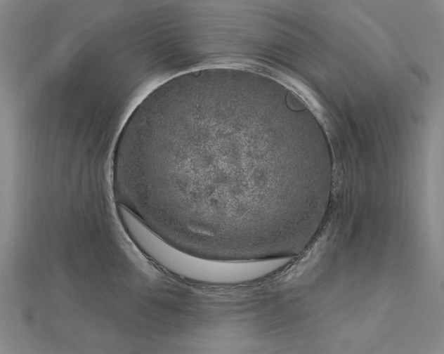 X0000112760907200908271617