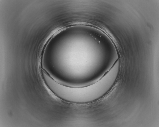 X0000112760909200908271617