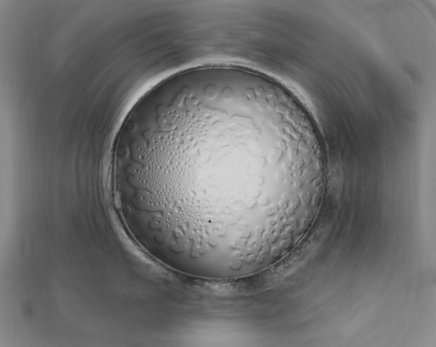 X0000112760911200908271617
