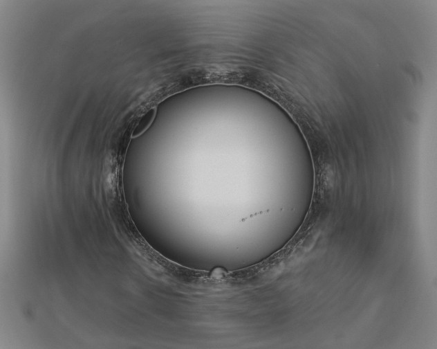 X0000112760914200908271616