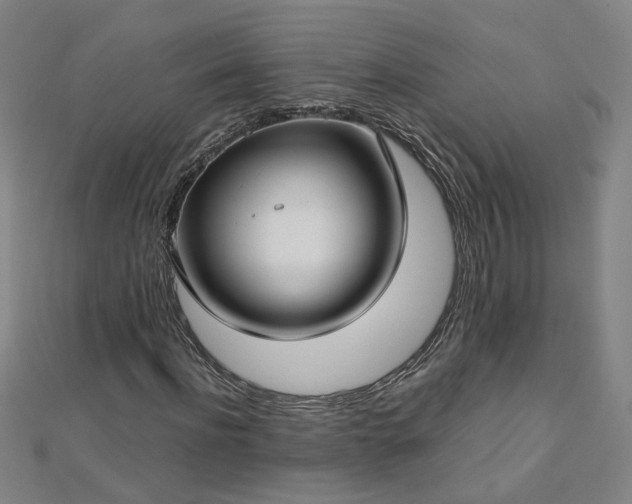 X0000112760916200908271616