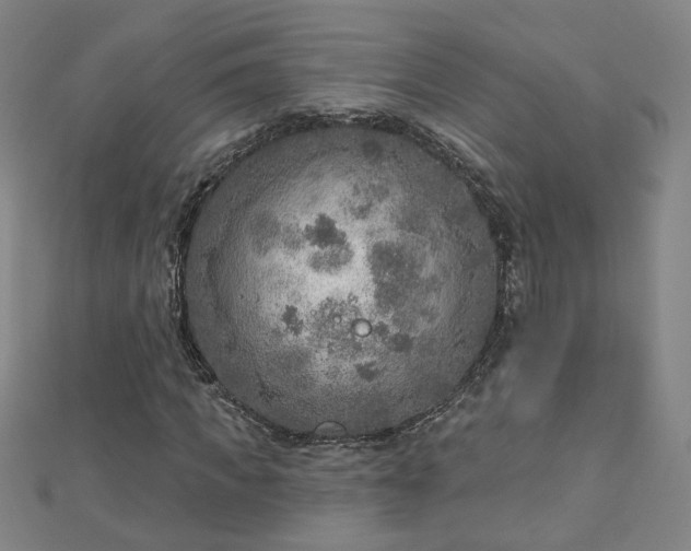 X0000112760917200908271616