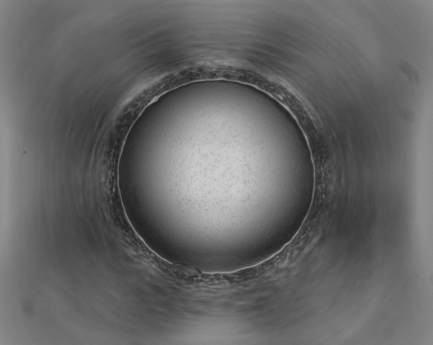 X0000112760919200908271616