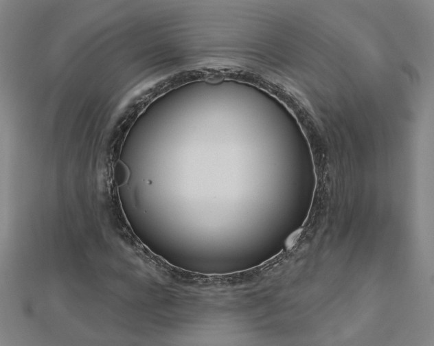 X0000112760920200908271616