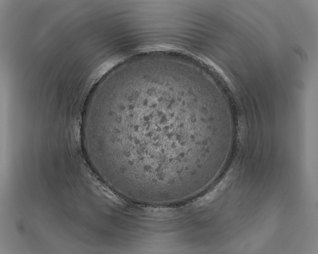X0000112760921200908271616