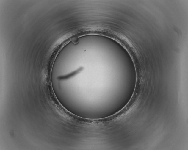 X0000112760922200908271616
