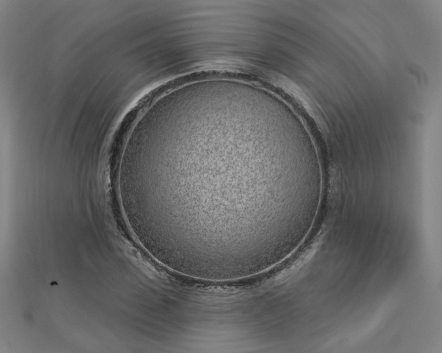 X0000112760923200908271616