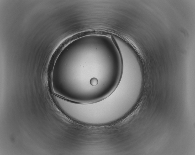 X0000112760924200908271616