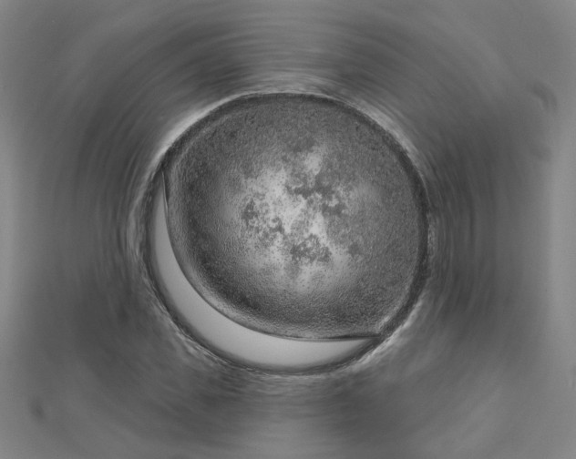 X0000112760925200908271616