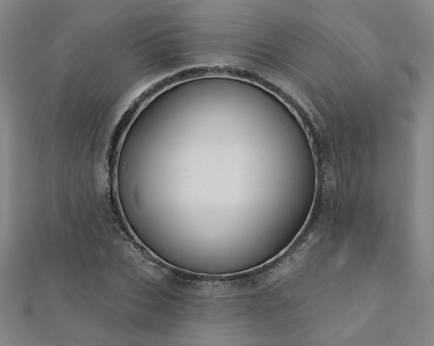 X0000112760927200908271616