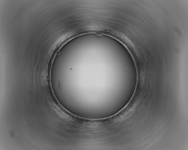 X0000112760930200908271616