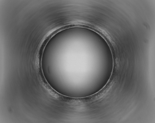 X0000112760931200908271616