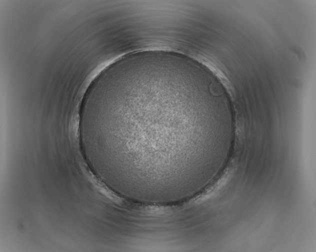 X0000112760933200908271616