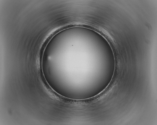 X0000112760934200908271616