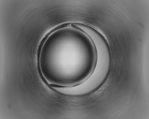 X0000112760935200908271616