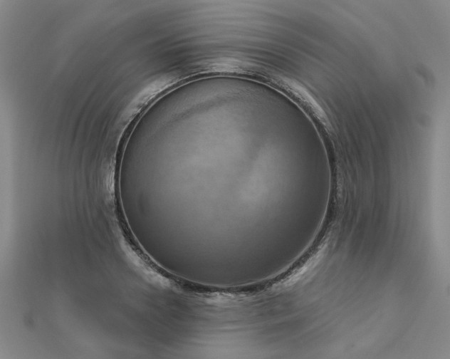 X0000112760938200908271616