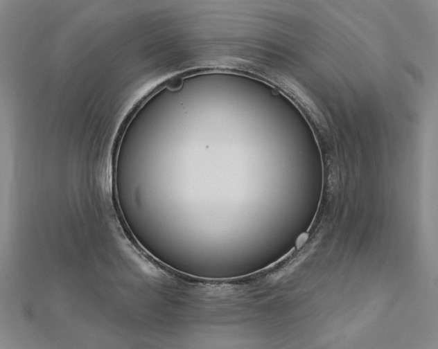 X0000112760940200908271616