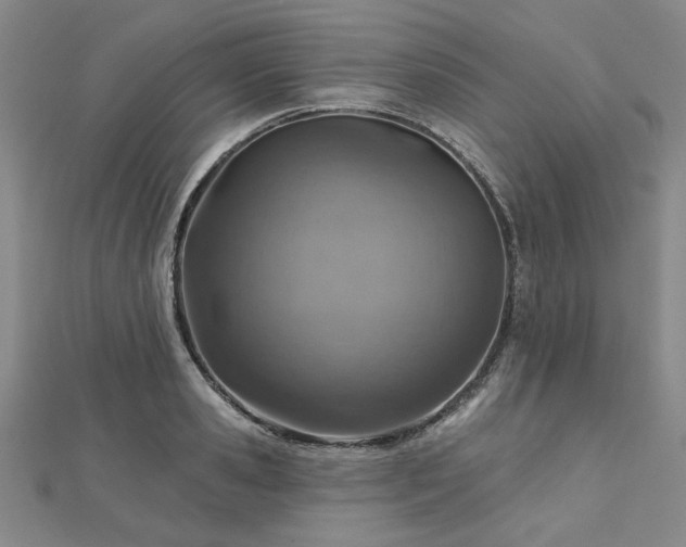 X0000112760941200908271617