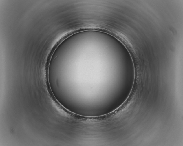 X0000112760942200908271617