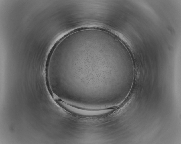 X0000112760943200908271617