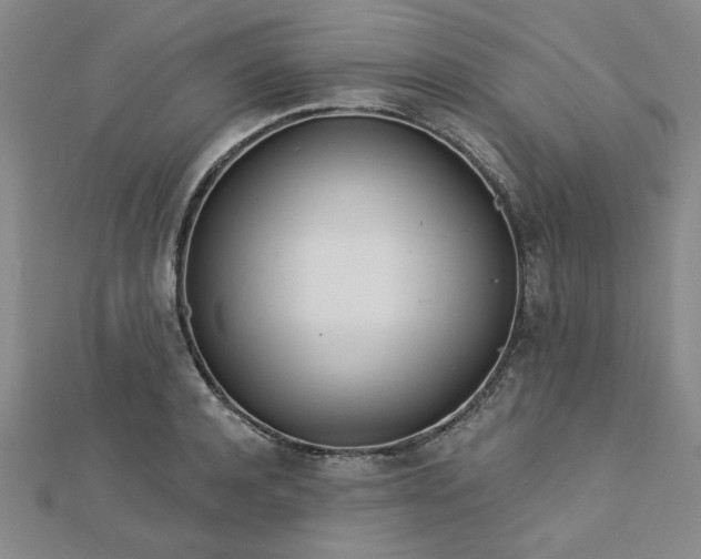 X0000112760944200908271617