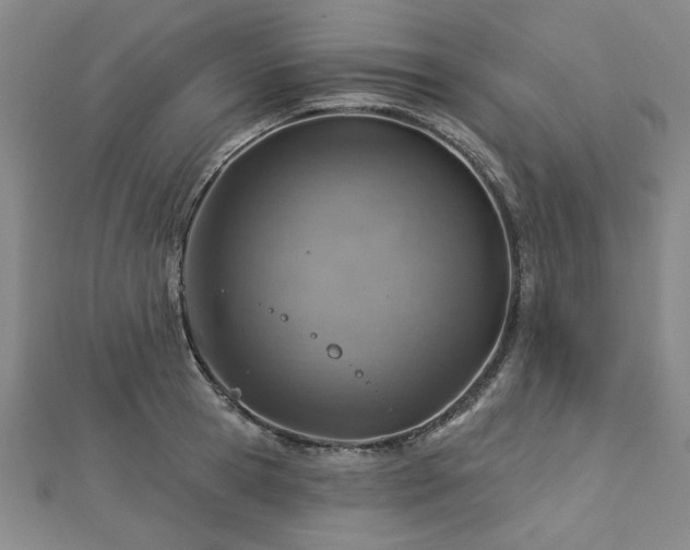X0000112760945200908271617
