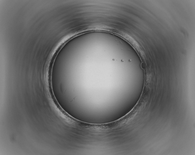 X0000112760947200908271617