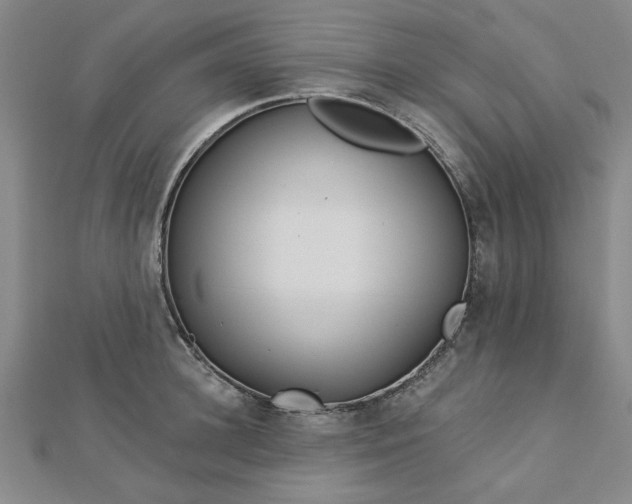 X0000112760948200908271617