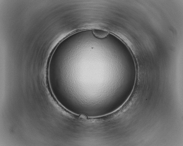 X0000112760949200908271617