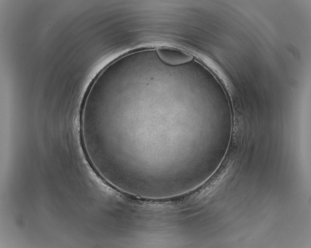 X0000112760951200908271617