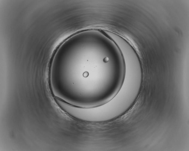 X0000112760952200908271617