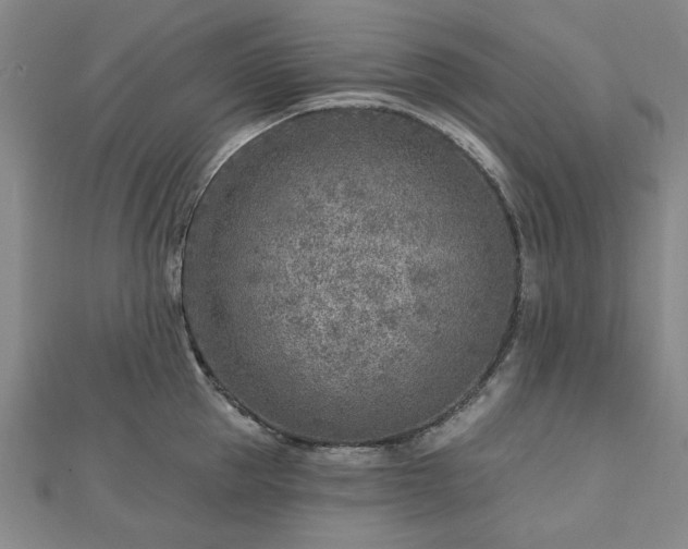 X0000112760953200908271617