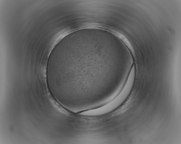 X0000112760954200908271617