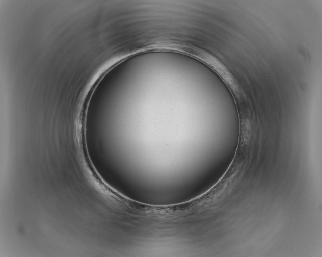 X0000112760955200908271617