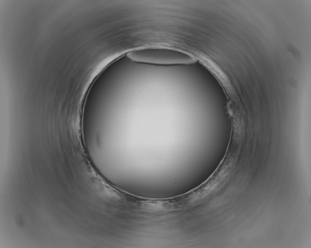 X0000112760956200908271617