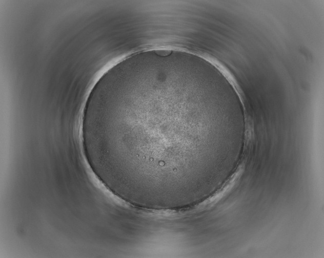 X0000112760957200908271617