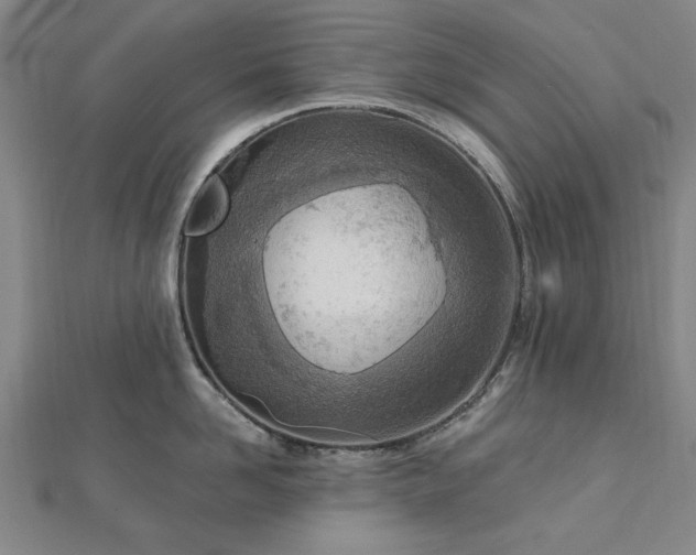 X0000112760958200908271617