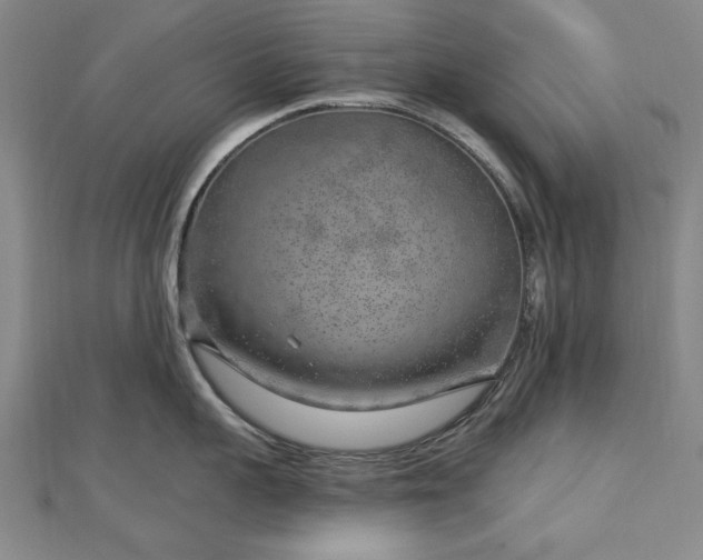 X0000112760959200908271617