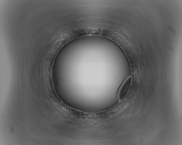 X0000112760961200908271616