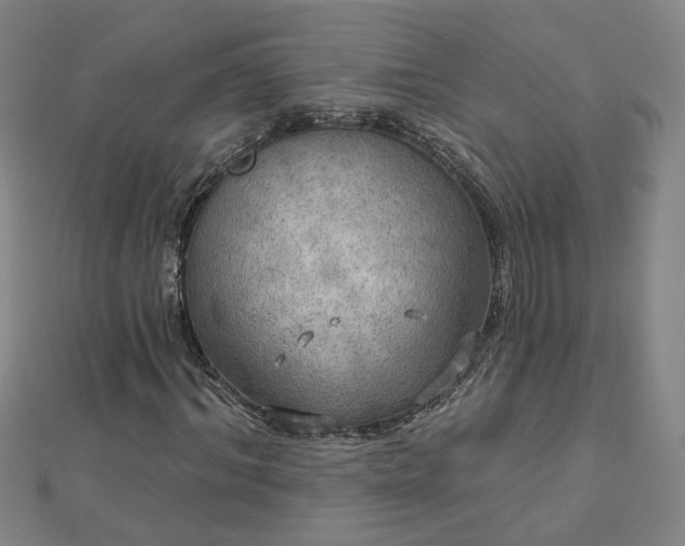 X0000112760964200908271616