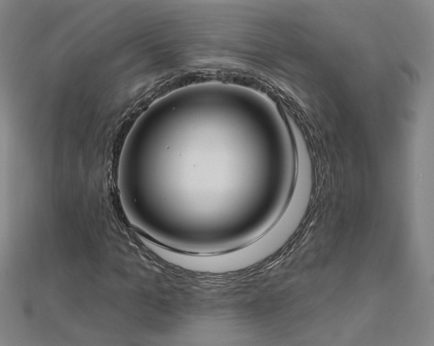 X0000112760965200908271616