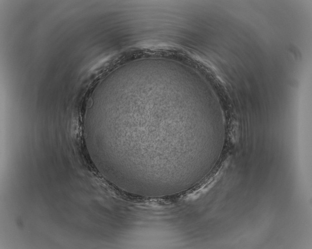 X0000112760966200908271616