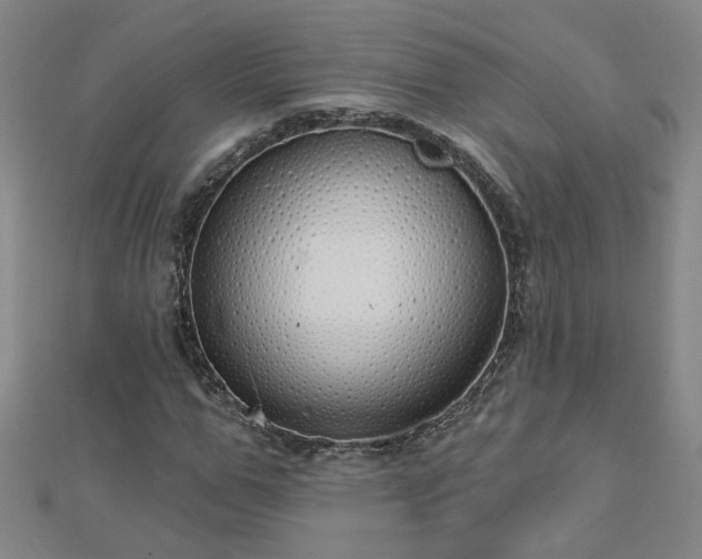 X0000112760967200908271616
