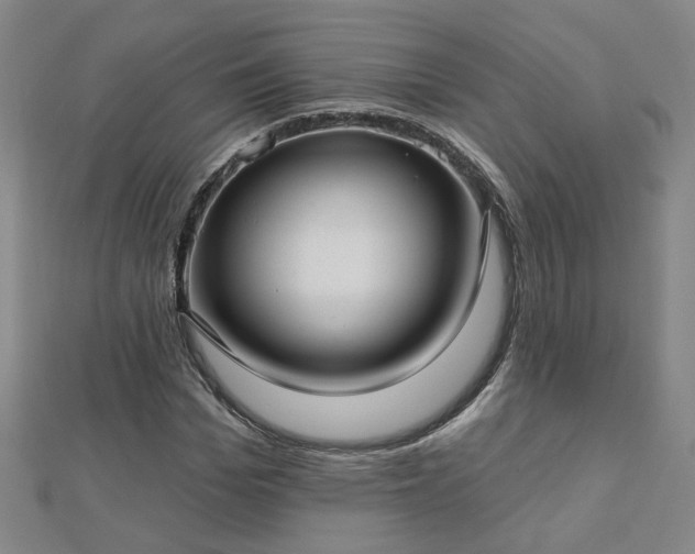 X0000112760969200908271616