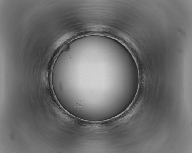 X0000112760970200908271616