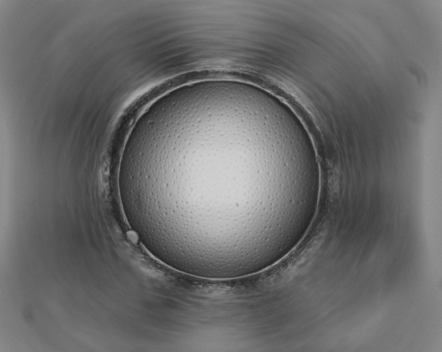 X0000112760971200908271616