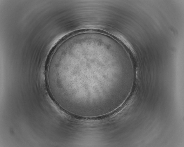 X0000112760972200908271616