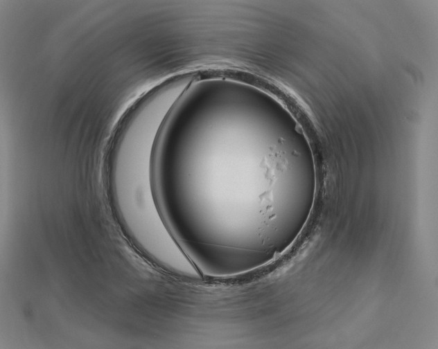 X0000112760973200908271616